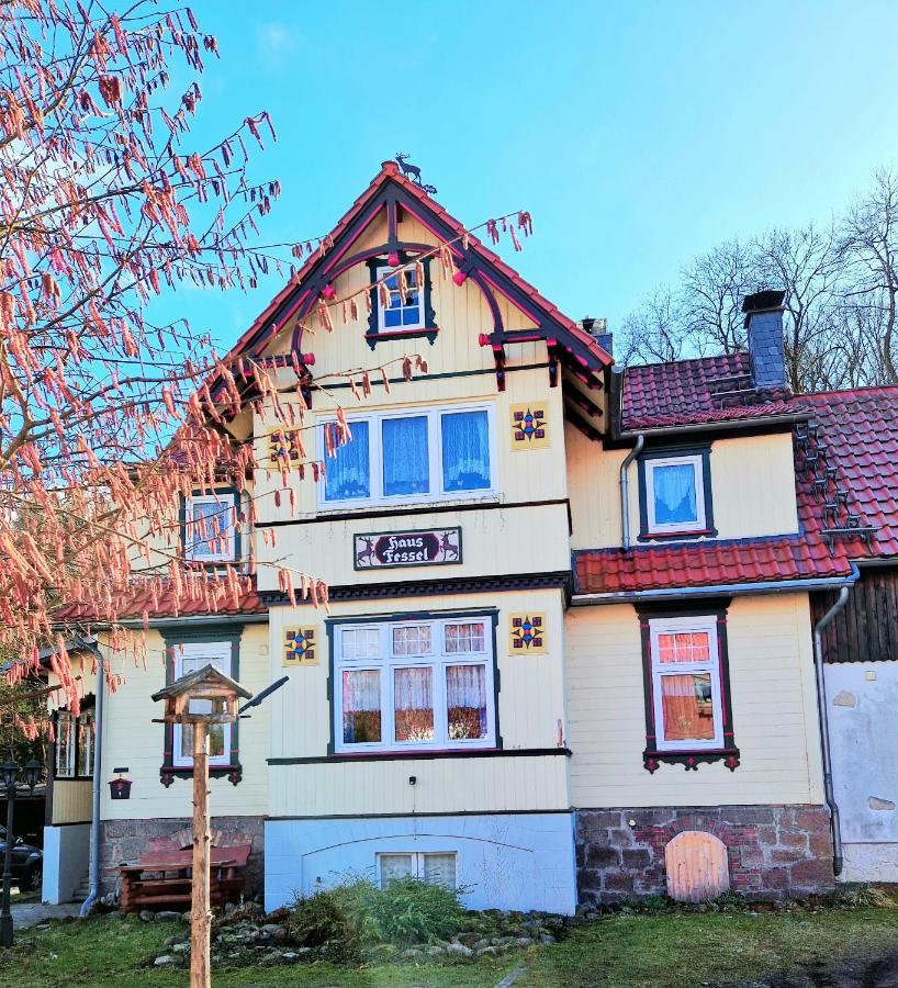 Haus Fessel - Birkenkopf Apartment Elend Exterior photo